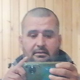 ������, ���������, 36 ���