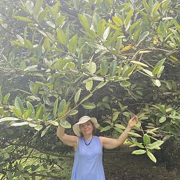 ������, ������, 55 ���