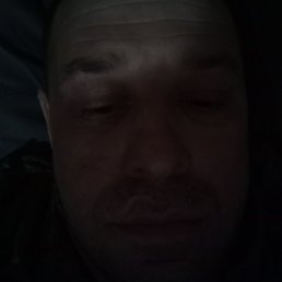 ����, �������, 42 ����