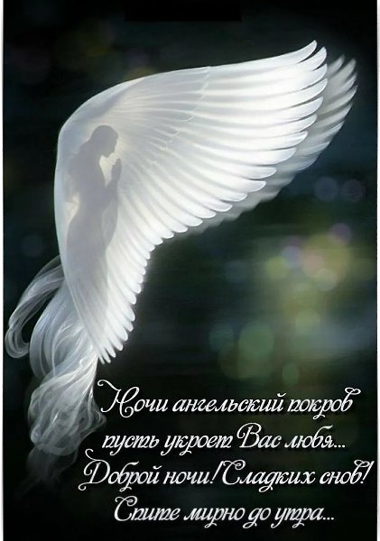 •‘’•‘’•‘’•‘’•‘’•‘’•‘’•‘’•‘’•‘’•‘’•‘’•‘’•‘’•‘’•‘’•‘’•‘’•‘’•‘’•