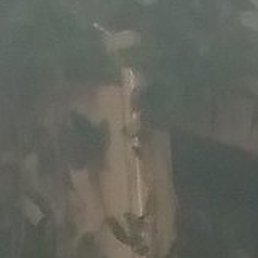 ����, ������ ��������, 49 ���