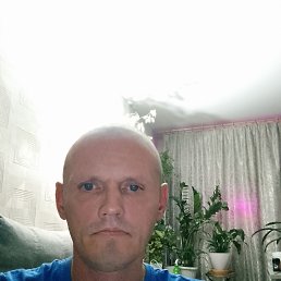 ���������, 44 ����, �����������