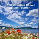 ���� ����, ����������� - ��������� 14 ���� 2026 � ������ ������ ��������