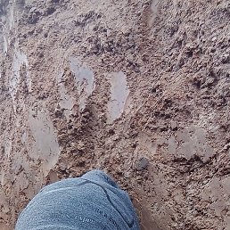 ����, �����������, 35 ���