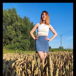 ����, 29 ���, ������