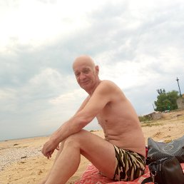 , 61, 
