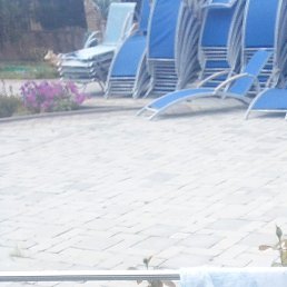 ��������, �����-���������, 51 ���