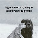  Kenigsberg(), , 52  -  14  2025    