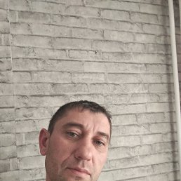 , 36, 