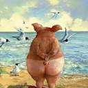 ���� �������, ����� - ��������� 3 ���� 2024 � ������ ���� ����������