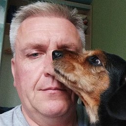 ����� �������, �������� ����, 47 ���