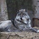 ���� �����, ��������, 78 ��� - ��������� 28 �������� 2025 � ������ ���� ����������