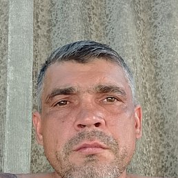 , 43, 