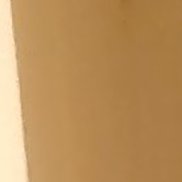 �����, 41 ���, ������