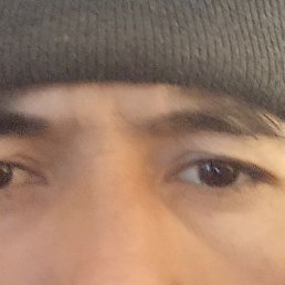 �����, �����������, 38 ���