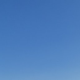 �������, ������, 55 ���