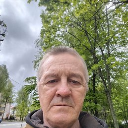 , 61, 