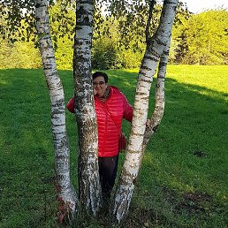 �������, �������, 55 ���