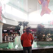 ����, 41 ���, ���