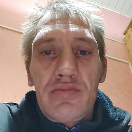 �������, ������, 41 ���