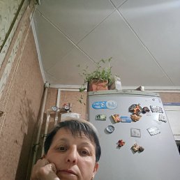���� �������, �����������, 49 ��� - ��������� 8 ��� 2026