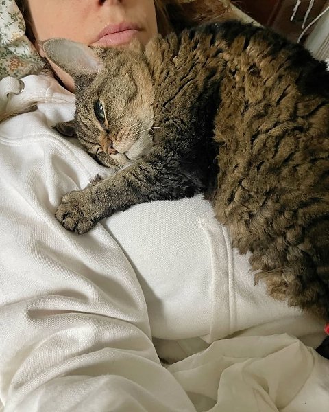  .       ,       ... - 5