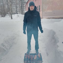 ������, 41 ���, ���������