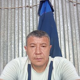 �����, 41 ���, ������