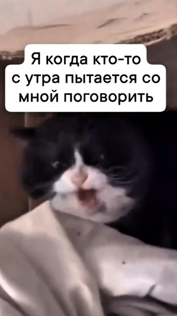 � ���� ������ ����� ��������� ������... - 2