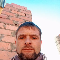 , 33, 