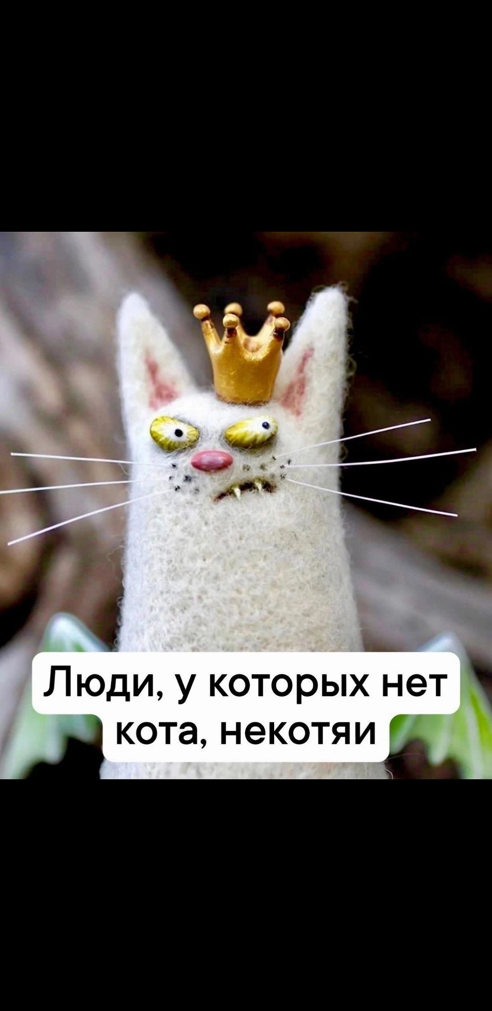  - 13  2024  20:39