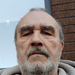 ��������, �������, 66 ���