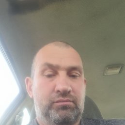 , 37, 
