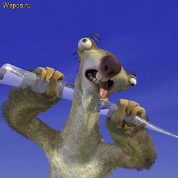 ������, ������� �����, 33 ����