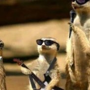 �����, 30 ���, �����-���������