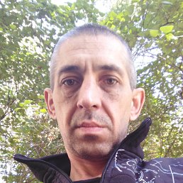 �������, ������, 46 ���