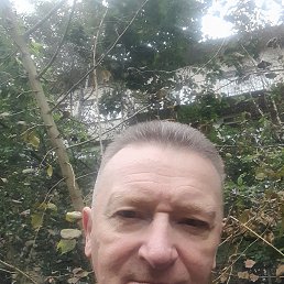, 53, -