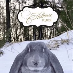 �����, ������-��-����, 48 ���