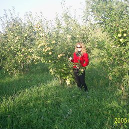 ������, ����-���, 39 ���