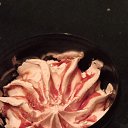 ���� ����� ������, ����� - ��������� 8 ��� 2025 � ������ ������ ��������