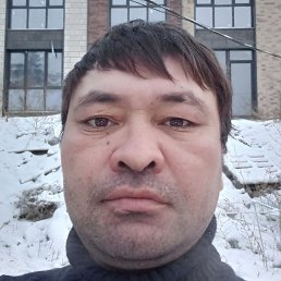 �������, ������, 37 ���