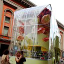  , , 66  -  23  2025    2025 