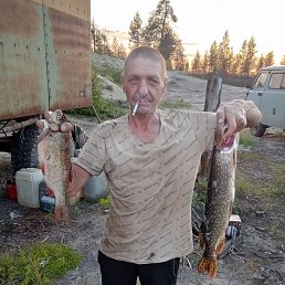 , 48 , 