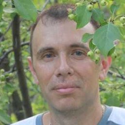 �����, ���������, 36 ���