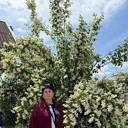 ����, 51 ���, ������