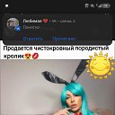 ���� ����, �����������, 25 ��� - ��������� 17 ��� 2024 � ������ ���� ����������