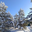 ���� �����, ������ - ��������� 2 ���� 2026 � ������ ���� ����������