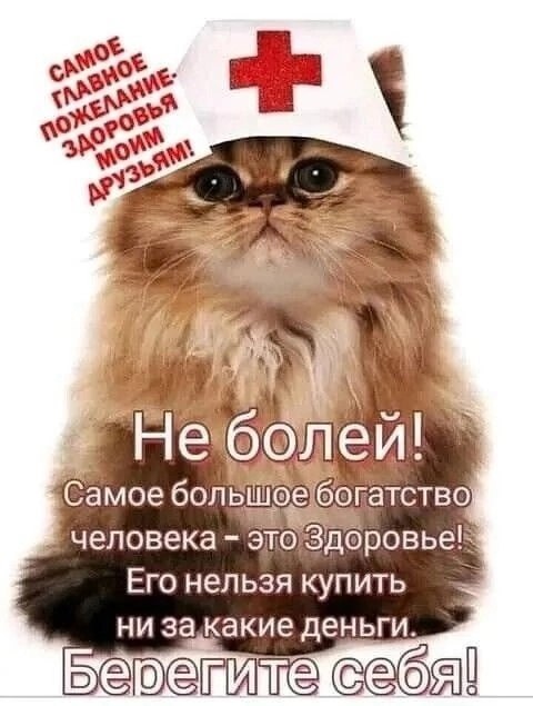 ���� - 15 ���� 2025 � 13:57