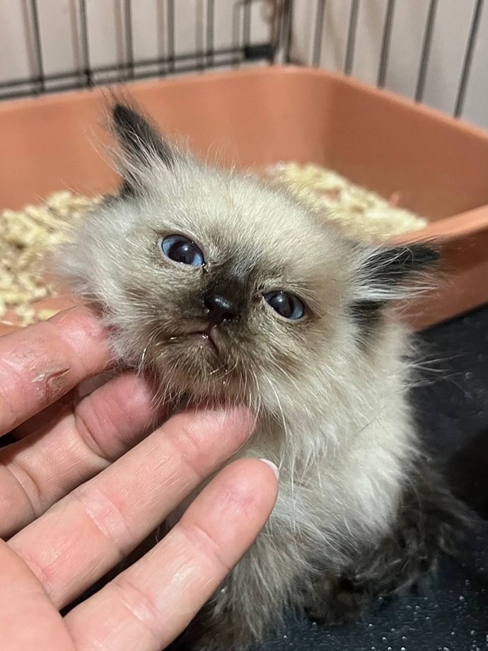 ����� ���� �� �������... �����, ��������� �������, � �������� �������, � ������� ��� ���� �������. ... - 2