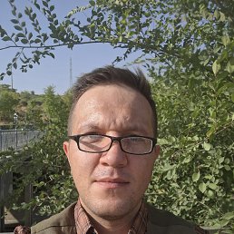 , 37, 